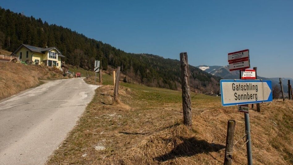 Wanderung Sonnbergrunde - Lassing - Touren-Impression #2.3 | © TV Gesäuse