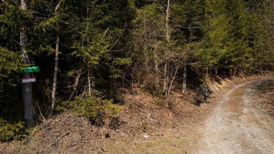 Wanderung Sonnbergrunde - Lassing - Touren-Impression #2.8 | © TV Gesäuse