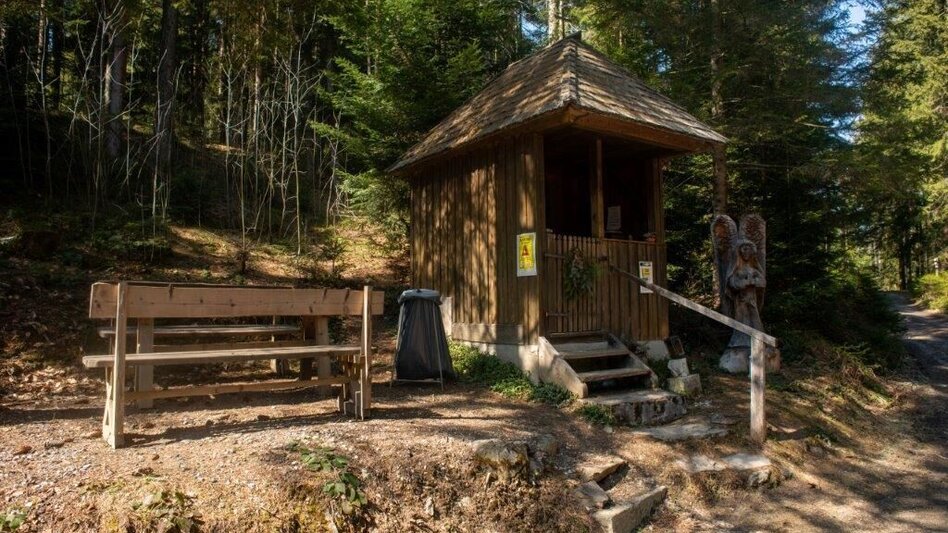 Wanderung Sonnbergrunde - Lassing - Touren-Impression #2.9 | © TV Gesäuse