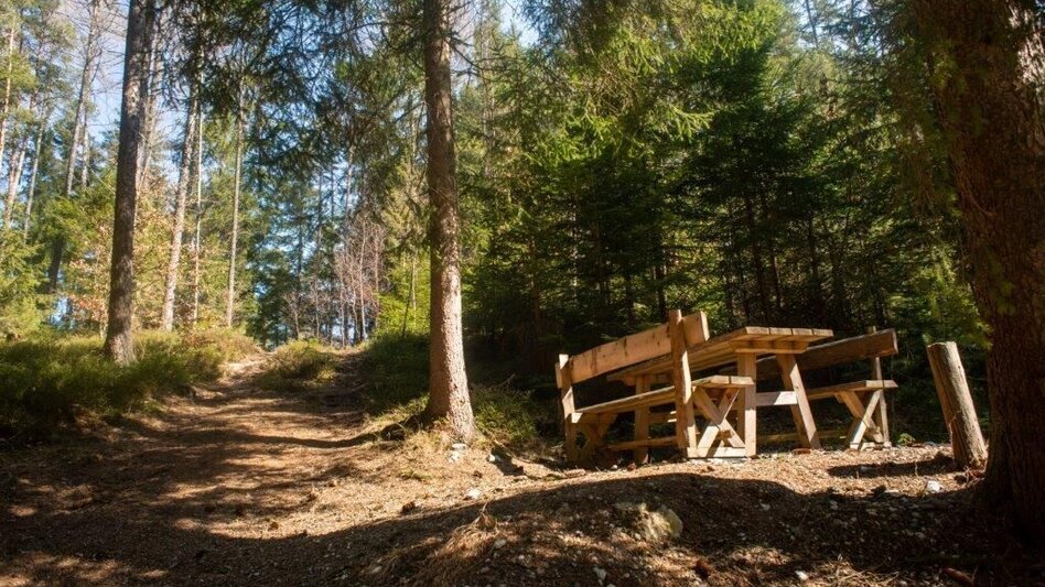 Wanderung Sonnbergrunde - Lassing - Touren-Impression #2.10 | © TV Gesäuse