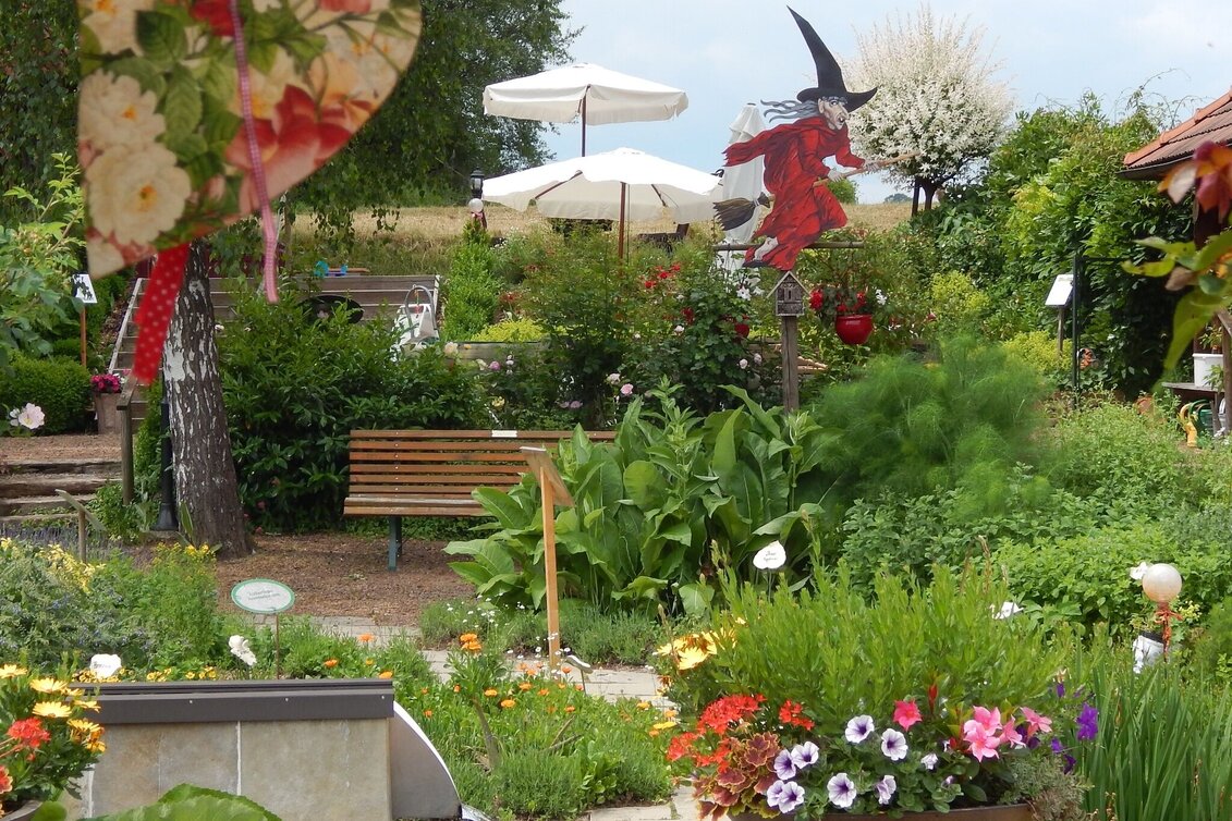 Hiking route Panoramic tour Söchau (Panoramatour Söchau) - Touren-Impression #1 | © Manuela Schweinzer-Riegler