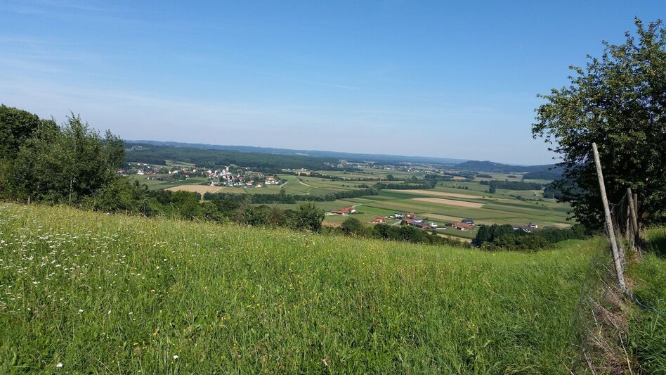 Hiking route Panoramic tour Söchau (Panoramatour Söchau) - Touren-Impression #2.6 | © Gemeinde Söchau
