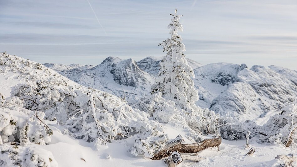 Snowshoe walking Snowshoe hike over the Tauplitzalm to the Rosskogel - Touren-Impression #2.1 | © TVB Ausseerland Salzkammergut
