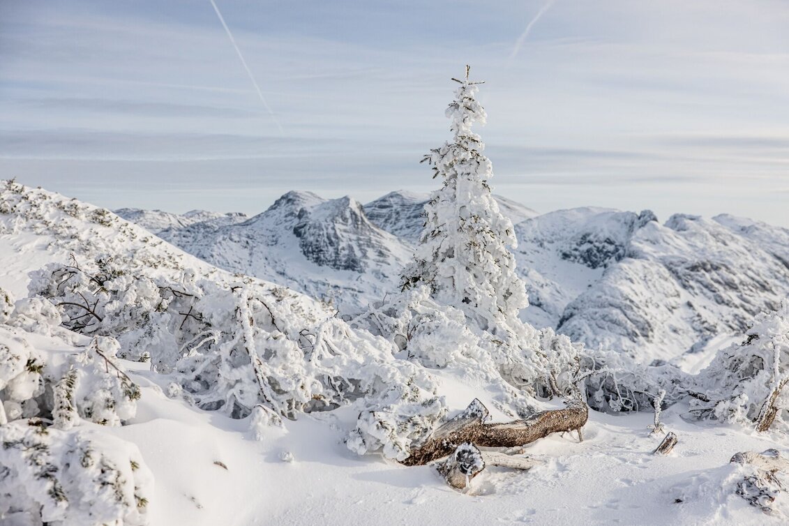 Snowshoe walking Snowshoe hike over the Tauplitzalm to the Rosskogel - Touren-Impression #1 | © TVB Ausseerland Salzkammergut