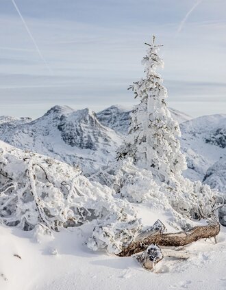Winteridyll auf der Tauplitzalm im Ausseerland | Katrin Kerschbaumer | © TVB Ausseerland Salzkammergut
