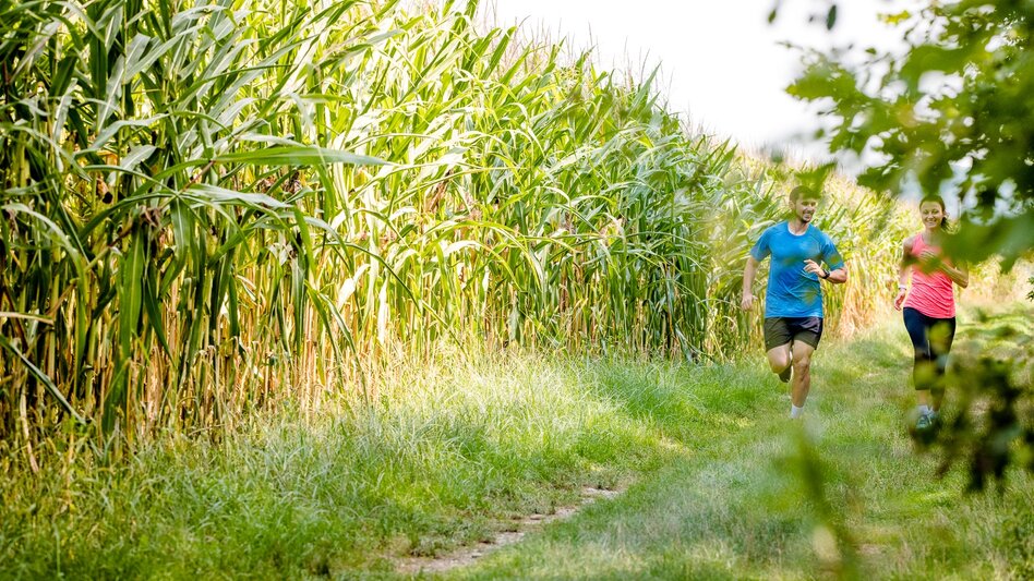 Kinderwagenmeilen Lauf- und Walkingstrecke Kalsdorf - Touren-Impression #2.1 | © Region Graz