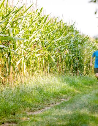 Lauf- und Walkingstrecke Kalsdorf(c)TV Region Graz-Mias Photoart | Meike Brucher | © Region Graz
