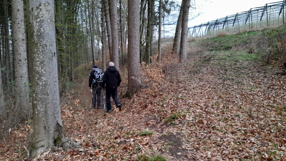 Hiking route Tulip Trail (Tulpenwanderweg) - Touren-Impression #2.5 | © Gemeinde Edelsbach