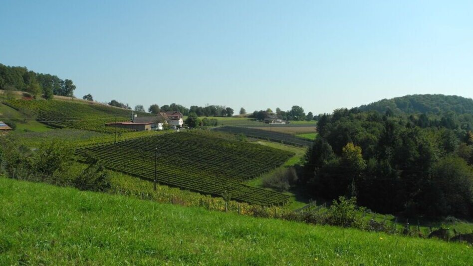Hiking route Kräuterwanderweg - Touren-Impression #2.4 | © Gemeinde Edelsbach