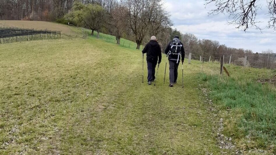 Hiking route Kräuterwanderweg - Touren-Impression #2.6 | © Gemeinde Edelsbach