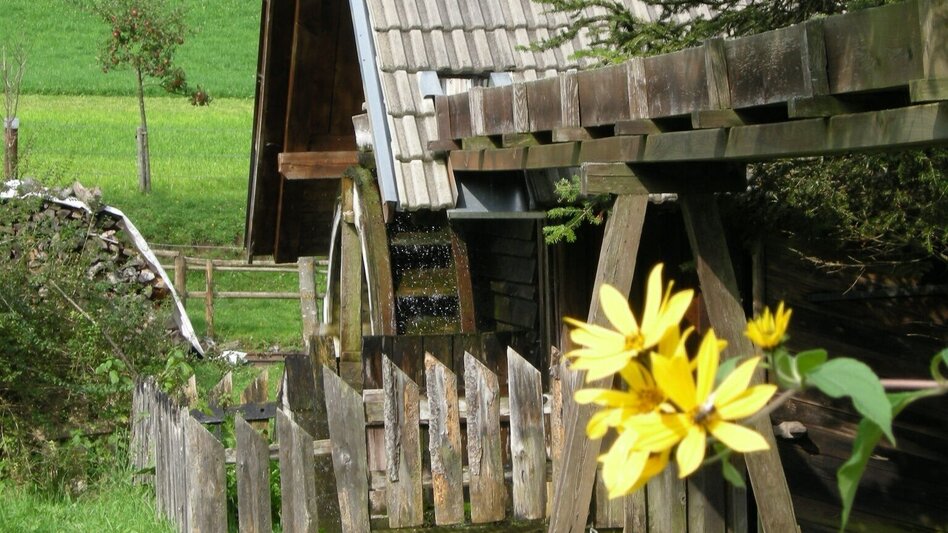 Wanderung Oberdissau-Rundweg, Fischbach - Touren-Impression #2.2 | © Tourismus Fischbach, Foto Johann Zink