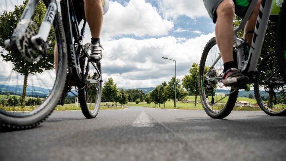 Bike Riding Feistritztal cycle path R8, northern section - Touren-Impression #2.3