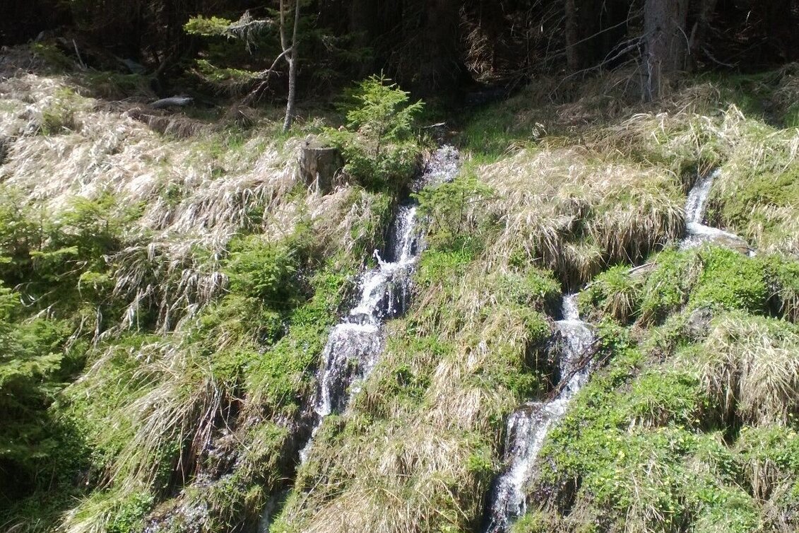 Wanderung Hochwechsel - Quellenweg, Waldbach-Mönichwald - Touren-Impression #1 | © Andrea Gruber