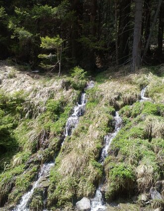 "Wassertreppen" | TV Joglland Waldheimat | © Andrea Gruber
