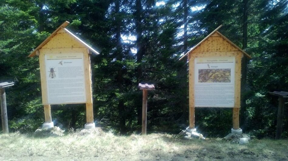 Wanderung Hochwechsel - Quellenweg, Waldbach-Mönichwald - Touren-Impression #2.2 | © Andrea Gruber