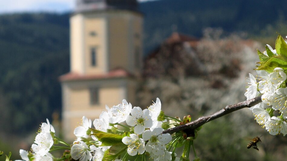 Pilgrim Walk On the Benedikt-Route through Styria - Touren-Impression #2.4 | © Erlebnisregion Murtal