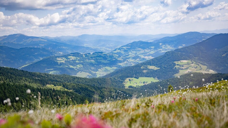 Hiking route Gstoder - Touren-Impression #2.5 | © Tourismusverband Murau