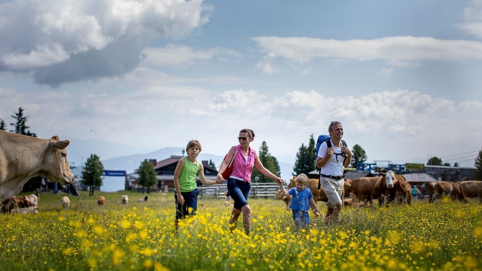 Wanderung Kreischberg - Touren-Impression #2.2 | © Tourismusverband Murau