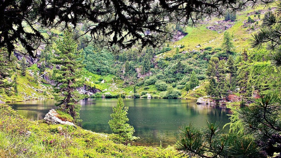Wanderung Rundweg Hauserersee - Touren-Impression #2.1 | © Tourismusverband Murau