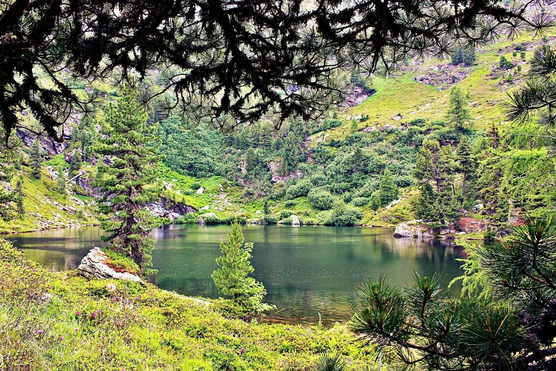 Wanderung Rundweg Hauserersee - Touren-Impression #1 | © Tourismusverband Murau