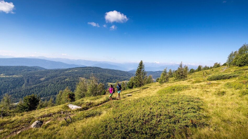 Wanderung 8-Gipfel-Wanderung: Vom Kreischberg zur Frauenalpe - Touren-Impression #2.3 | © Tourismusverband Murau