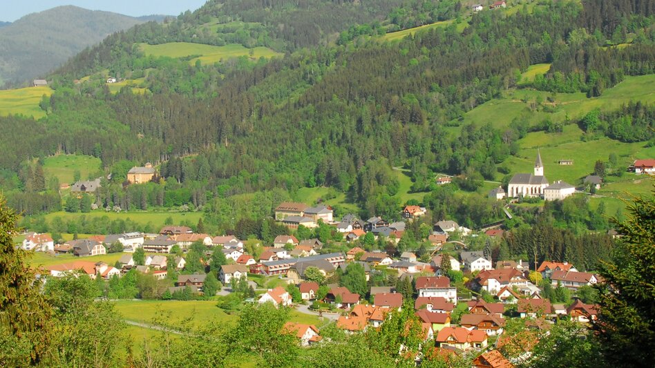 Nordic Walking Lunzenbach - Hansbauer - Touren-Impression #2.2 | © Tourismusverband Murau