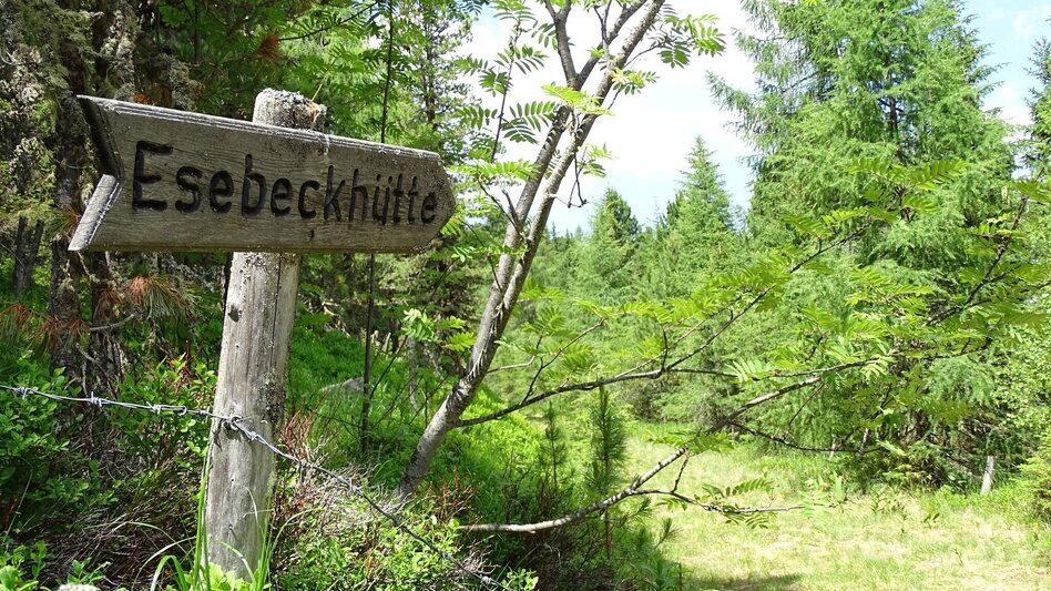 Hiking route St. Lorenzen - Kreischberg - Esebeckhütte - Touren-Impression #2.2 | © Tourismusverband Murau