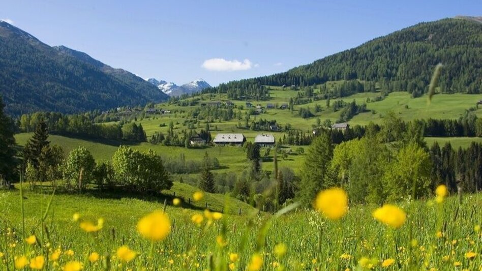Mountain Biking Stolzalpen circuit - Touren-Impression #2.1 | © Tourismusverband Murau