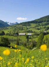 Stolzalpenrunde | © Tourismusverband Murau | Tom Lamm | © Tourismusverband Murau