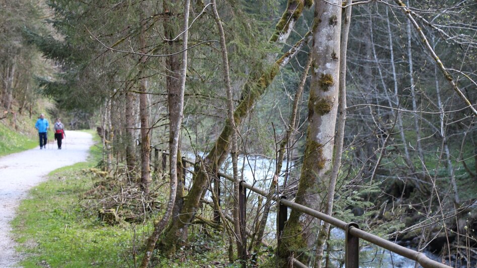 Regional hiking trail 2-days-hike: Wild Waters - Touren-Impression #2.4 | © Tourismusverband Schladming - Harald Steiner