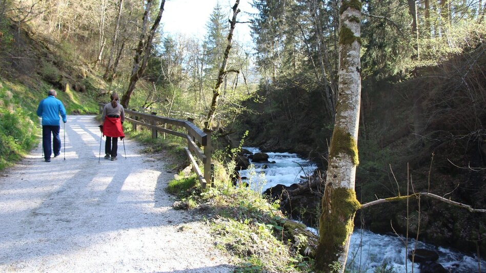 Regional hiking trail 2-days-hike: Wild Waters - Touren-Impression #2.5 | © Tourismusverband Schladming - Harald Steiner