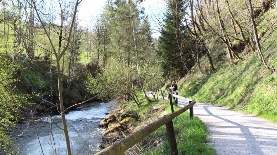 Regional hiking trail 2-days-hike: Wild Waters - Touren-Impression #2.6 | © Tourismusverband Schladming - Harald Steiner