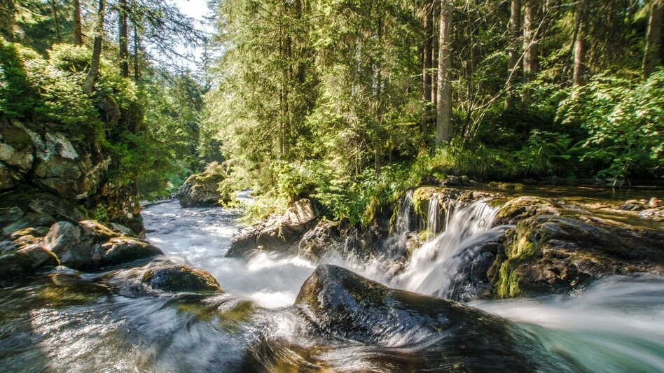 Regional hiking trail 2-days-hike: Wild Waters - Touren-Impression #2.8 | © Gerhard Pilz