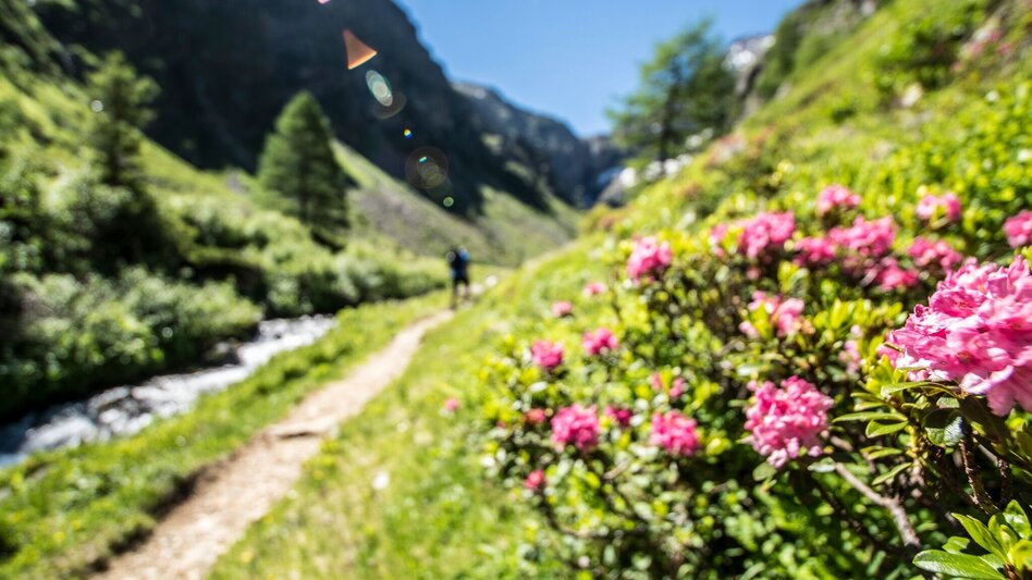 Regional hiking trail 2-days-hike: Wild Waters - Touren-Impression #2.20 | © Gerhard Pilz - www.gpic.at