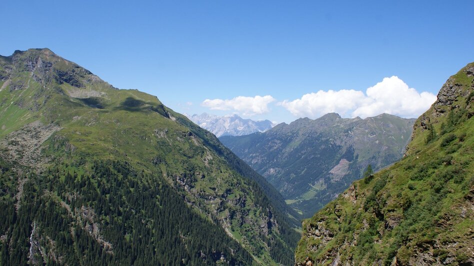 Regional hiking trail 2-days-hike: Wild Waters - Touren-Impression #2.21 | © Gerhard Pilz