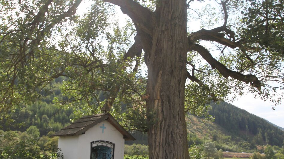 Panoramatouren/Themenstraßen Cafe Racer Tour Leoben - Touren-Impression #2.9 | © Tourismusverband ERZBERG LEOBEN