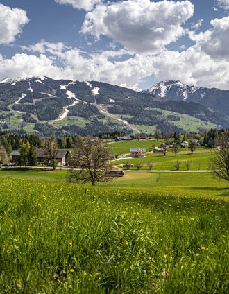 Gerhard Pilz | © Gerhard Pilz