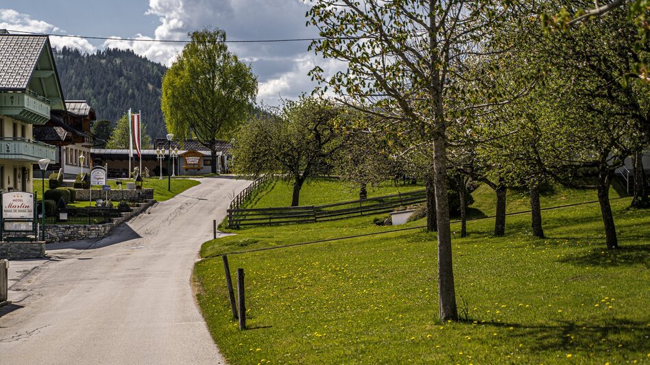 Hiking route Leiten Loop Trail - Touren-Impression #2.4 | © Gerhard Pilz