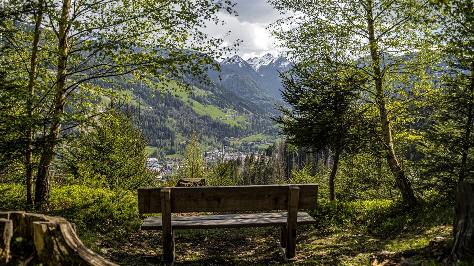Hiking route Leiten Loop Trail - Touren-Impression #2.8 | © Gerhard Pilz