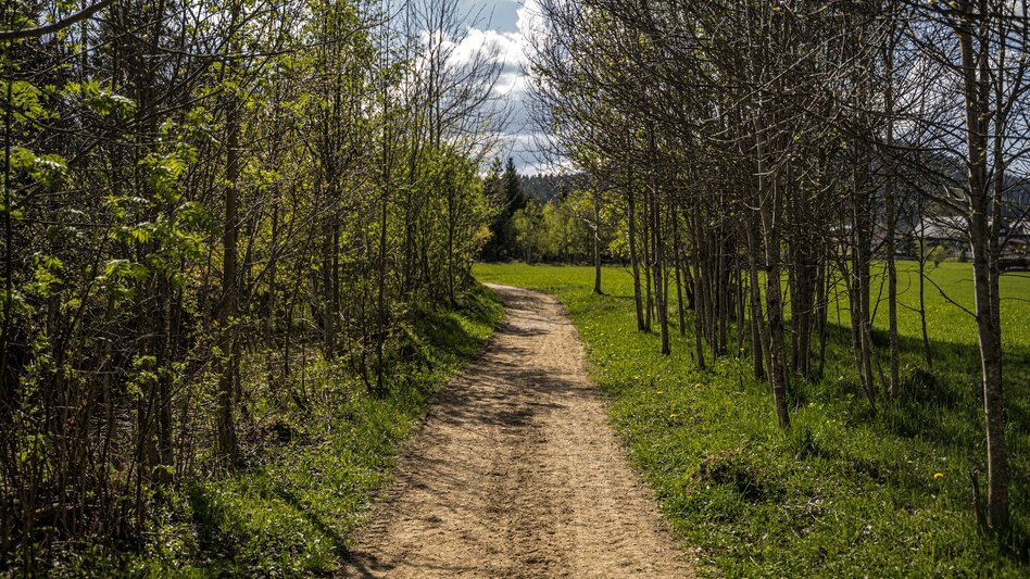 Hiking route Leiten Loop Trail - Touren-Impression #2.9 | © Gerhard Pilz