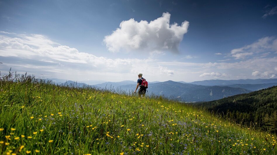Wanderung Dorfer Alm - Touren-Impression #2.1 | © Tourismusverband Murau