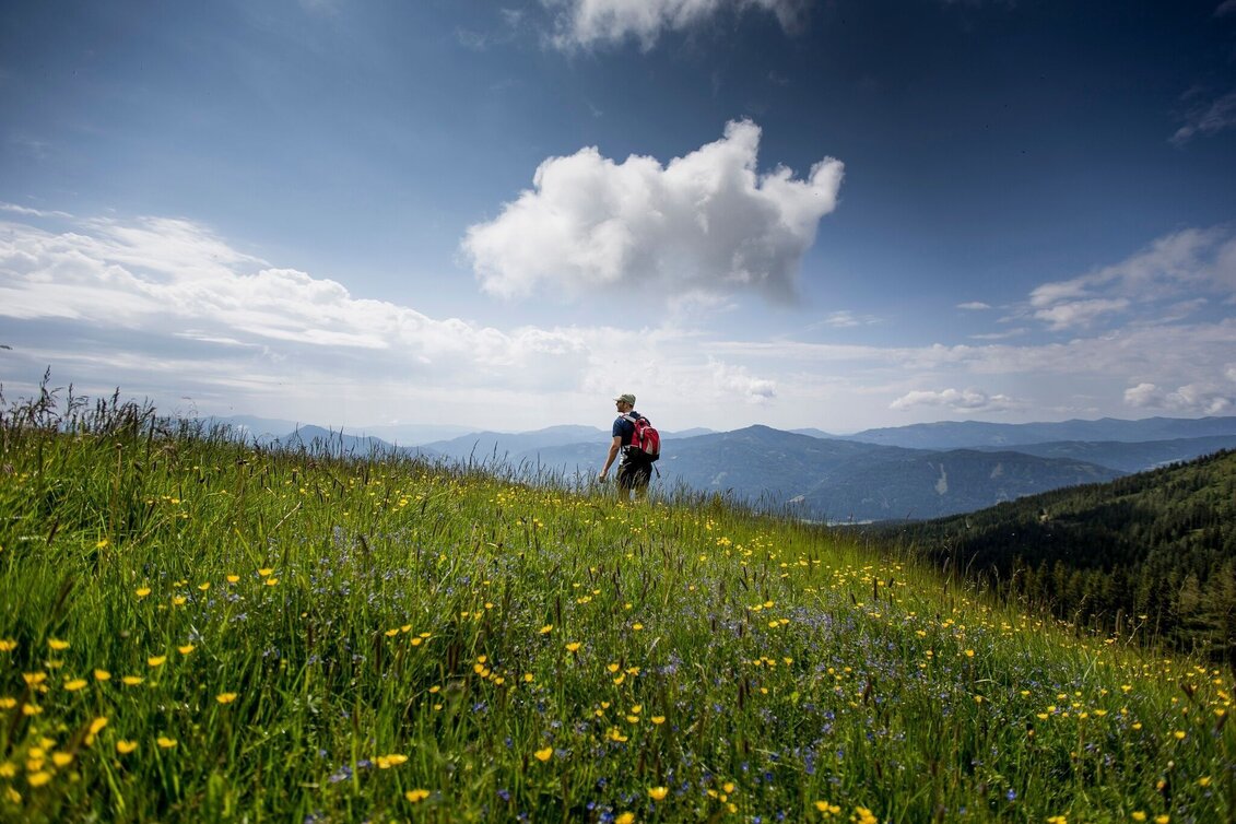 Wanderung Dorfer Alm - Touren-Impression #1 | © Tourismusverband Murau