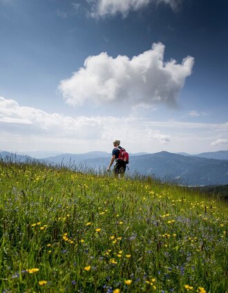 Wandern | Tom Lamm | © Tourismusverband Murau