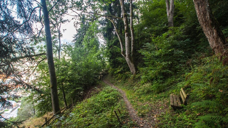 Hiking route Grubegg Trail - Touren-Impression #2.5 | © Gerhard Pilz - www.gpic.at