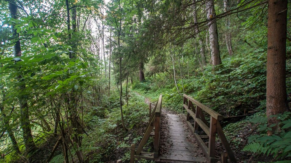 Hiking route Grubegg Trail - Touren-Impression #2.6 | © Gerhard Pilz - www.gpic.at