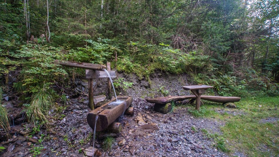 Hiking route Grubegg Trail - Touren-Impression #2.8 | © Gerhard Pilz - www.gpic.at