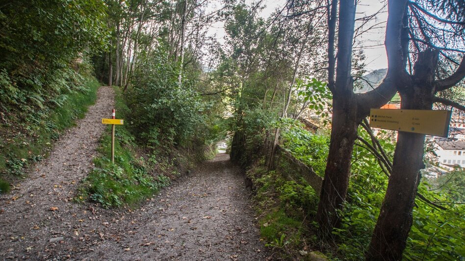 Hiking route Grubegg Trail - Touren-Impression #2.9 | © Gerhard Pilz - www.gpic.at