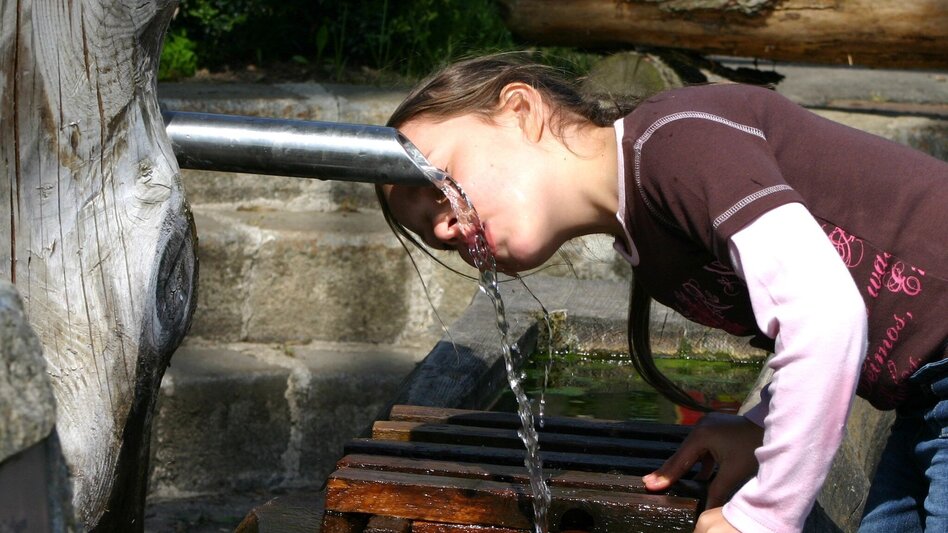 Bike Riding RT3 Jasnitztal – Kindberg Mürztaler StreuObstRegion - Touren-Impression #2.1 | © TV Mürztaler Streuobstregion