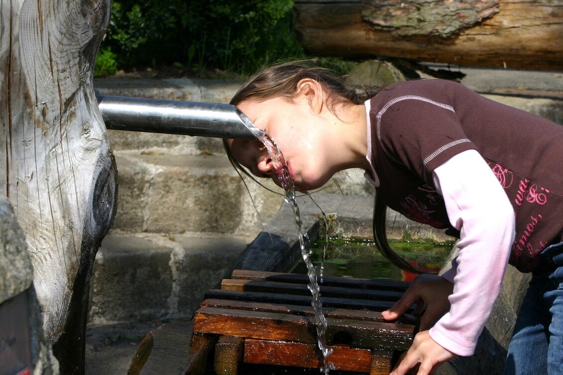 Bike Riding RT3 Jasnitztal – Kindberg Mürztaler StreuObstRegion - Touren-Impression #1 | © TV Mürztaler Streuobstregion