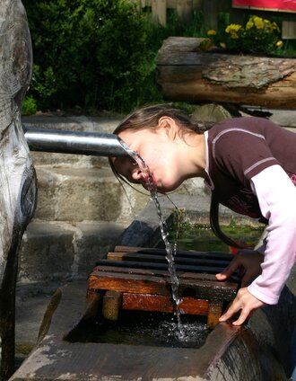 Sauerbrunn | Siegfried Teubenbacher | © TV Mürztaler Streuobstregion